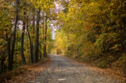 Test your bikes against Cacapon’s 25 miles of single-track and multi-level trails—experience 12 miles of professionally built trails and a skills course area.
