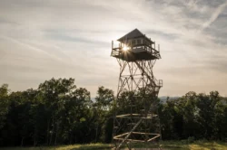 Upward view of the Thorny Mountain Fire Tower in Seneca State Forest during the summer.