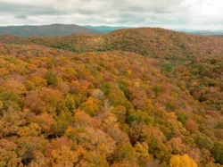 Aerial view of the forestry in Seneca State Forest during the fall.