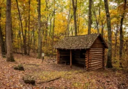 Cabin construction along a mountain trail during the fall in Seneca State Forest.
