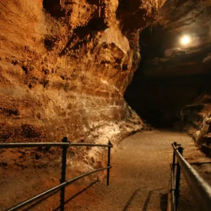Dreaming of Spring? These 4 Parks are the Best for Sunny Getaways