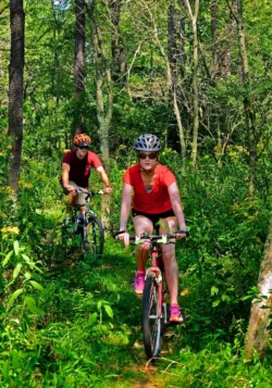 Two bikers enjoying a ride through Tomlinson Run during the summer.