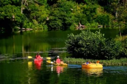 Family of six enjoying some canoeing in the summertime on Tomlinson Run Lake.