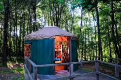 One of the unique yurts captured on a summer evening in Tomlinson Run State Park.