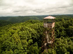 High-level view of the Tick Ridge Fire Tower during the summer.