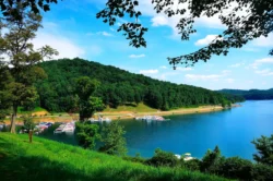 Summer overlook of the boat docks on Tygart Lake.