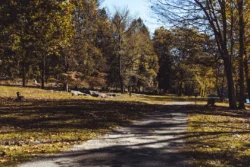 Walking trail during the fall lined with the river.
