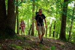 Young explorers journey across one of the hiking trails in North Bend State Park during the summer.