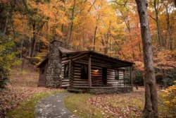 A featured Legacy cabin during the fall in Watoga State Park.