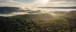 Wide shot overlooking the vast forestry of Watoga State Park at sunrise.
