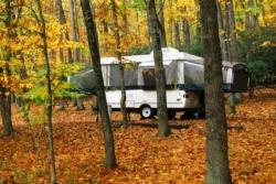 Camper at Watoga State Park in autumn