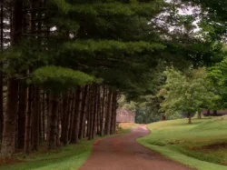 Hiking trail lined with some gorgeous timber and historic constructs in Watters Smith Memorial State Park.