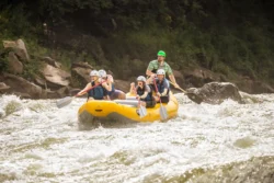 Medium shot of people whitewater rafting during the summer.