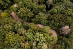 Road Trip from Chief Logan to Cabwaylingo this Summer