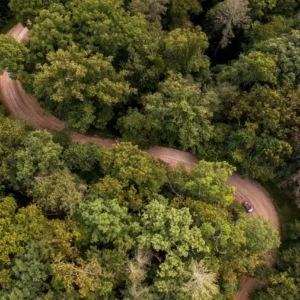 Road Trip from Chief Logan to Cabwaylingo this Summer