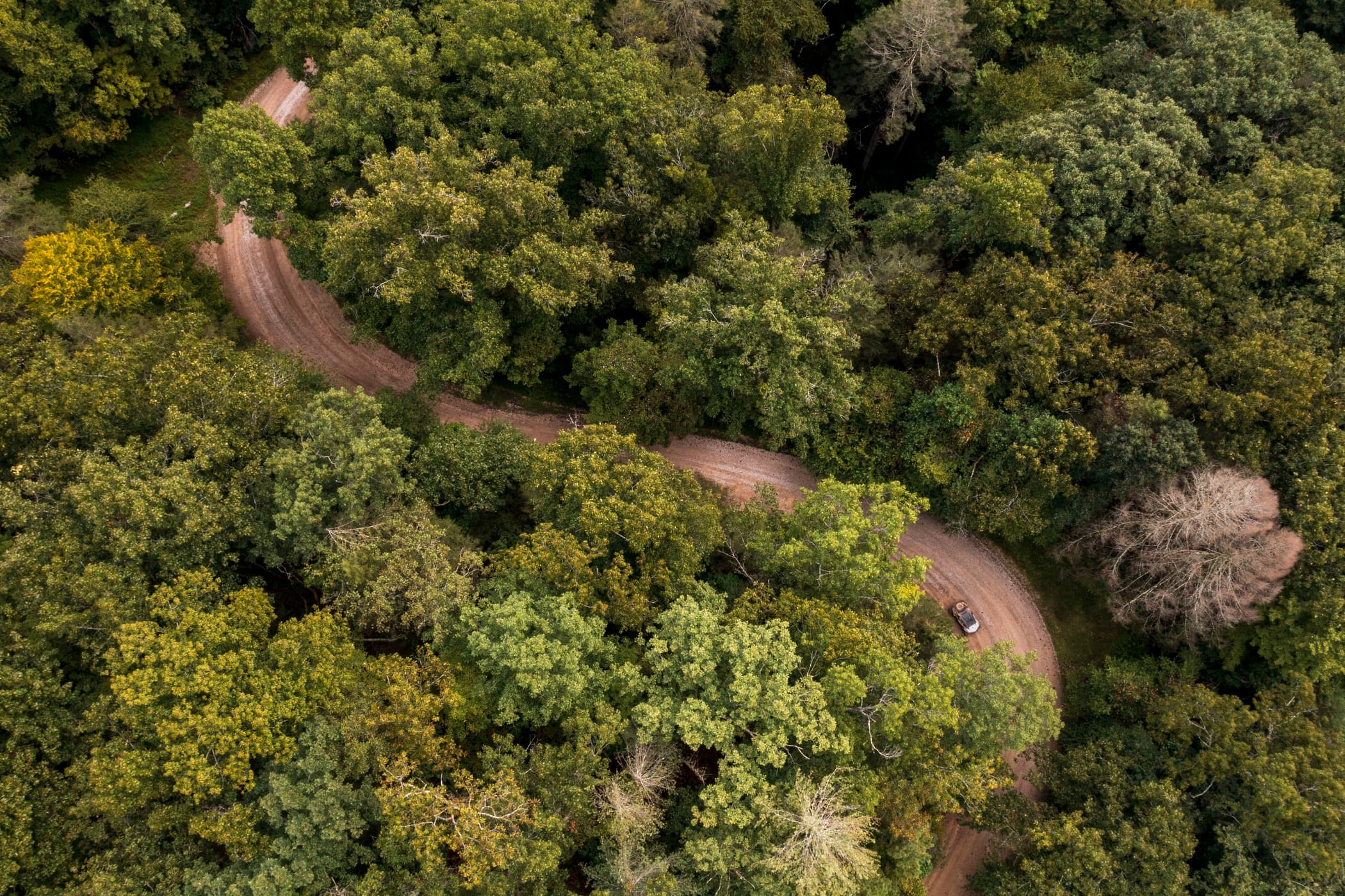 Southern West Virginia Road Trip: Chief Logan to Cabwaylingo State Forest