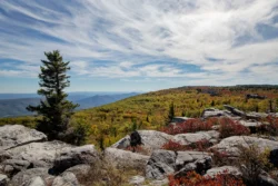 The view from a hiking trail in the Dolly Sods Wilderness Area. Dolly Sods is located in the Monongahela National Forest.