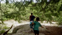 Your West Virginia State Parks Summer Bucket List