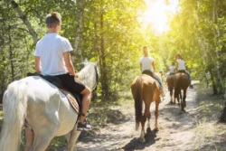 Group riding horseback along a trail