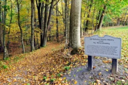 A sign at the entrance to one of the trails leading into the forest