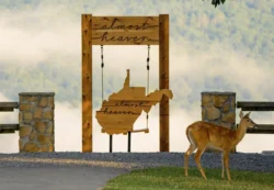 Discover the #AlmostHeaven Swings at West Virginia State Parks