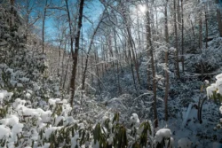 5 Must-Do Winter Adventures