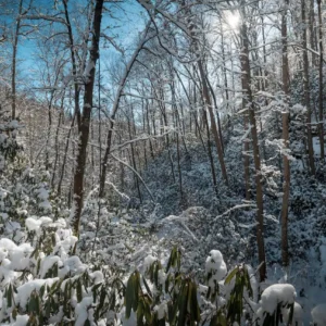 5 Must-Do Winter Adventures