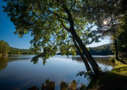 A picturesque shot of Moncove Lake on a summer day