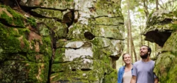 Road Trip through these 4 West Virginia State Parks