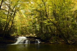 Kumbrabow State Forest, waterfall