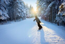 snowboarding, snowboarder, winter