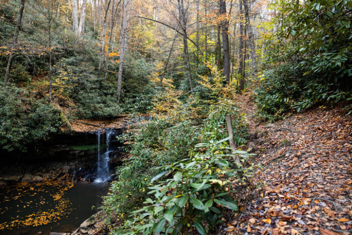 A tiny waterfall set amongst a forest of early autumn foliage