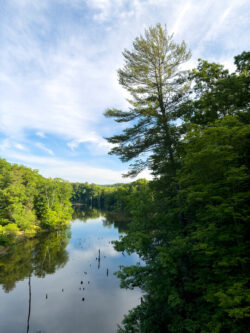 Trees with their green foliage line the water banks at North Bend State Park