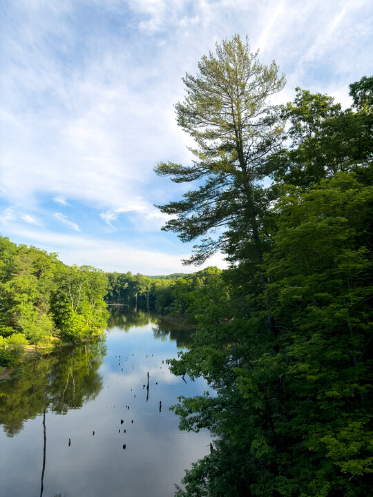 Trees with their green foliage line the water banks at North Bend State Park