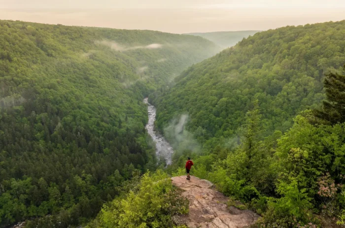 Blackwater Falls