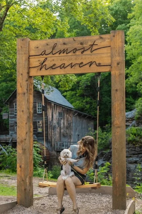 Babcock State Park, swing