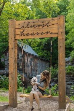 Babcock State Park, swing