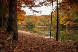 Pipestem, fall, trail