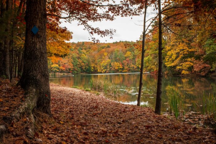Pipestem, fall, trail