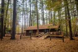 Accessible cabin with ramp surrounded by forest at North Bend State Park