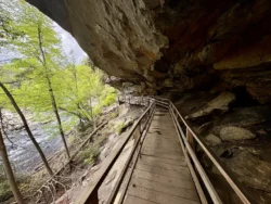 Wooden boardwalk along rock overhang beside river at Audra State Park