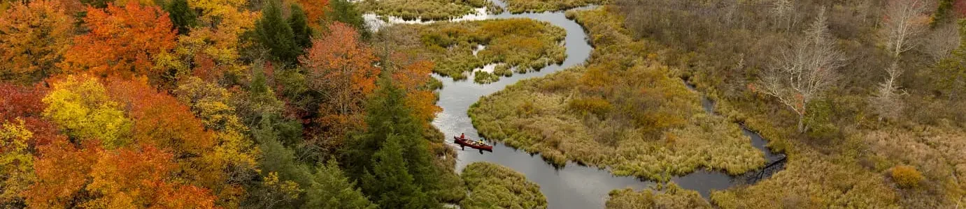 Aerial view of winding stream through wetland and fall foliage at Canaan Valley Resort State Park