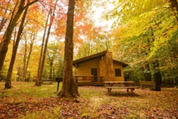 Cabin with picnic table surrounded by fall foliage at Canaan Valley Resort State Park