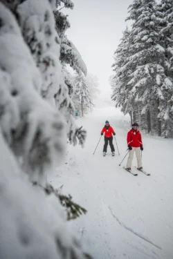 Two cross-country skiers on snow-covered trail among evergreens at Canaan Valley Resort State Park