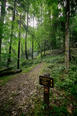 Forest trail at Holly River State Park with sign for Wilderness Trail and Reverie Trail