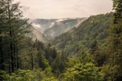 Blackwater Falls