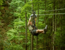 Person ziplining through forest canopy at Pipestem Resort State Park