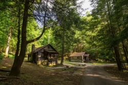 Log cabins along a wooded road in Cabwaylingo State Forest