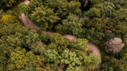 Aerial view of winding dirt road through dense forest in Cabwaylingo State Forest