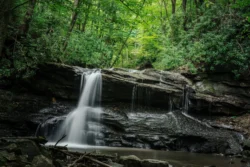 Waterfall flowing over rock ledge in Holly River State Park surrounded by forest